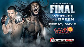 Bellator 119: The Finals