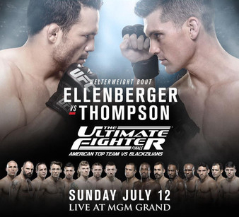 The Ultimate Fighter 21 Finale