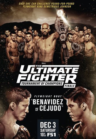 The Ultimate Fighter 24 Finale