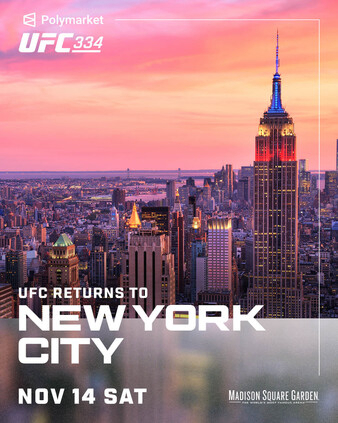 UFC 334