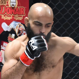 Abdel Abdelaziz