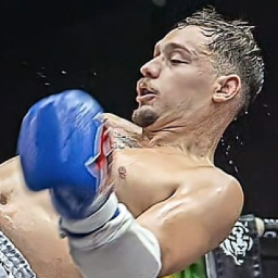 Cătălin Mircea