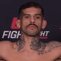 Pedro Falcão