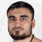 Mikhail Kolobegov