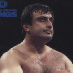 Tariel Bitsadze
